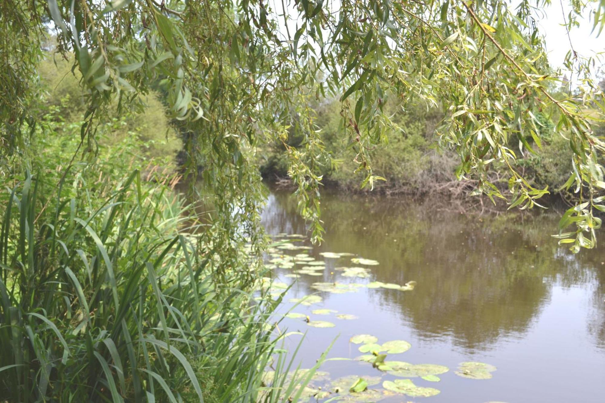 Les Bruyeres Gite Montbron Bagian luar foto